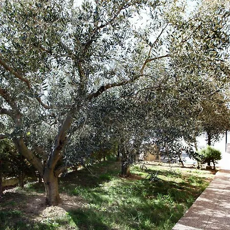 Peaceful Sp * Ankaran