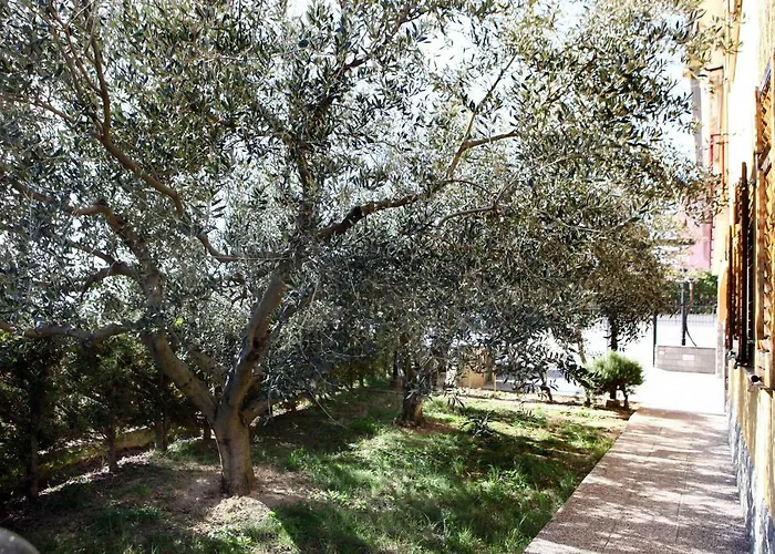 Peaceful Sp * أنكاران